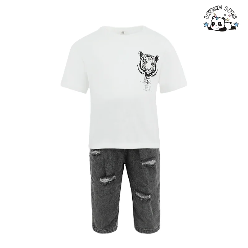 LEZONKIDS - Conjuntos de duas peças casuais de verão por atacado Camisas de manga curta Calças de algodão Conjuntos de roupas para meninos com desenhos de logotipos de desenhos animados